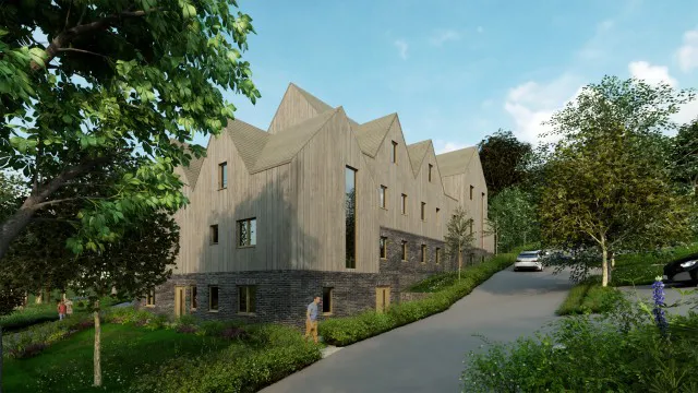 Back view