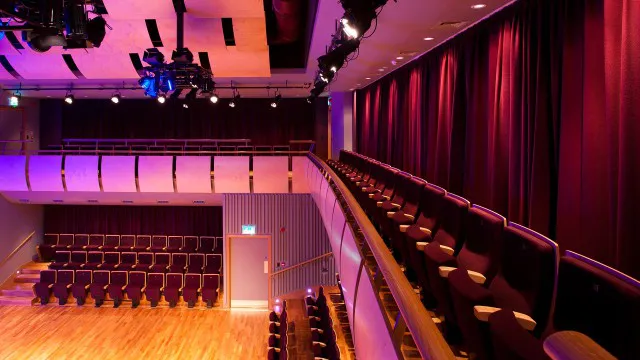 The Birley Centre 4
